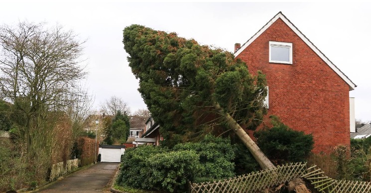 Assurance Habitation Image